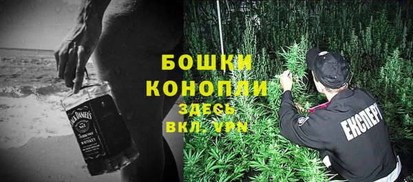 винт Инсар
