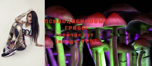винт Инсар