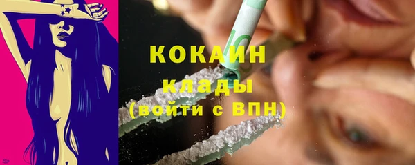 МДПВ Каменногорск
