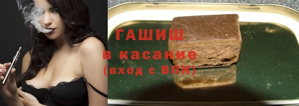 прущие грибы Заводоуковск