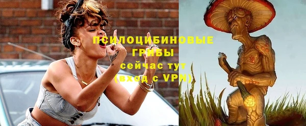 соль ск Иннополис