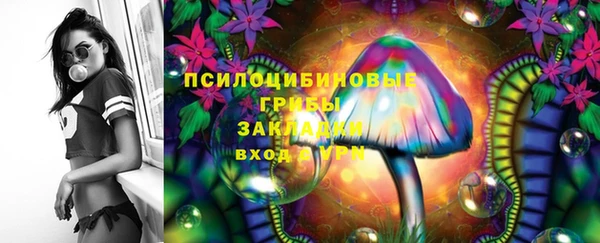 соль ск Иннополис