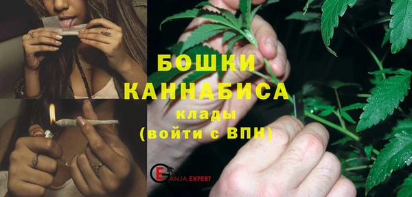 apvp Инта