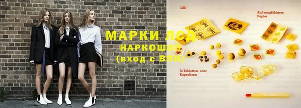 apvp Инта