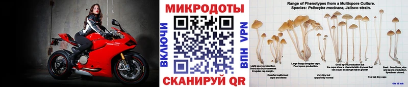 Псилоцибиновые грибы Magic Shrooms  Ковров 